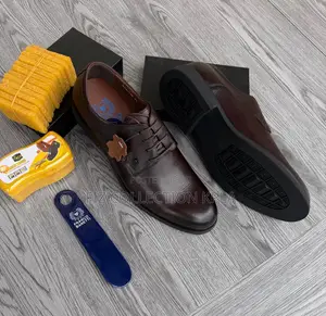 Franco Plain Coffee Brown Lace-Up Shoe