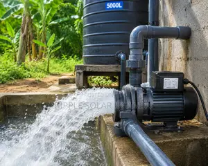 3hp Ac Surface Water Pump 18.5m Head 2.5 Inch High Flow Kampala