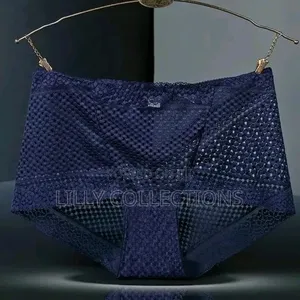 Transparent Ladies Lace Knickers