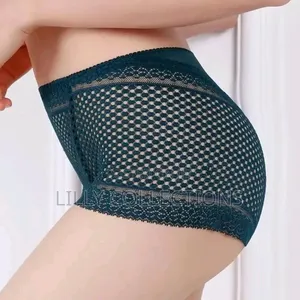 Transparent Ladies Lace Knickers