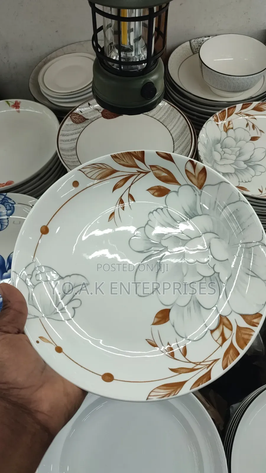 All Forms Dinner Plates Round 12pcs
