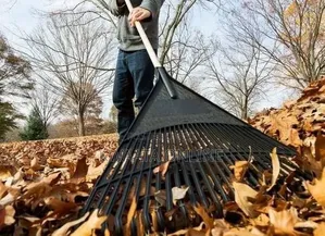 Plastic Heavy-duty Garden Leaf Rake, 24-tine Wide Head, Wooden Handle