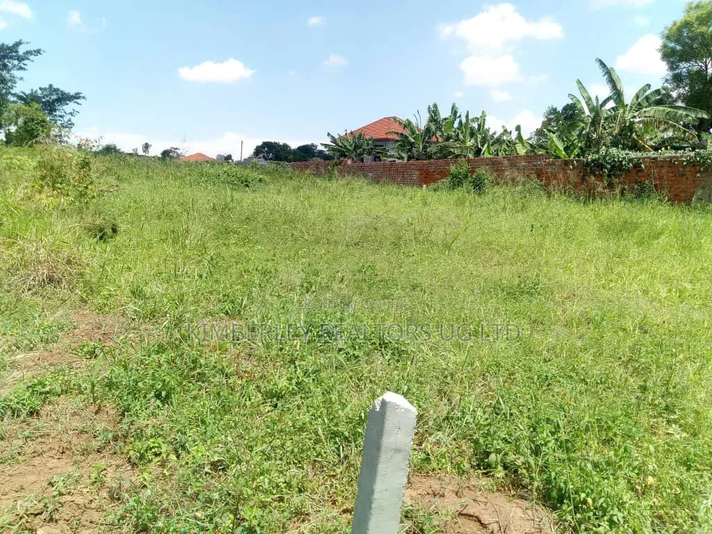 13 Decimals Plot – Kira Kiwogoloma at 80m