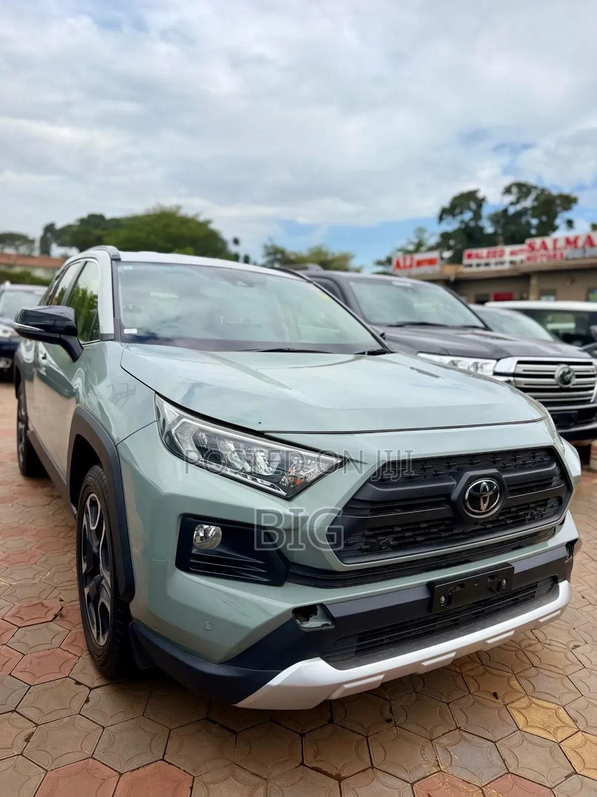 Toyota RAV4 Adventure 2019 Green