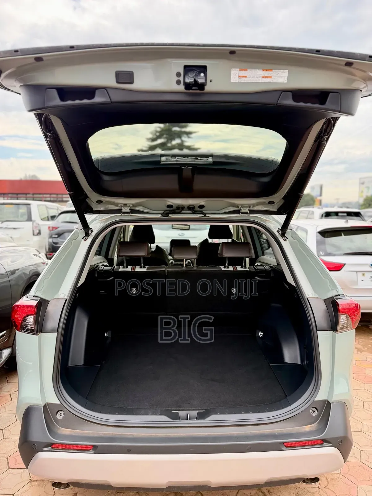 Toyota RAV4 Adventure 2019 Green