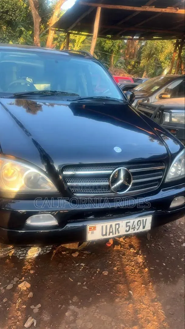 Mercedes-Benz M Class 1999 Black