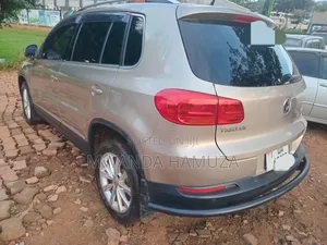 Volkswagen Tiguan 2013 Gold