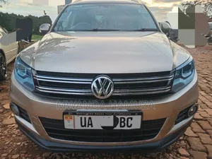 Volkswagen Tiguan 2013 Gold