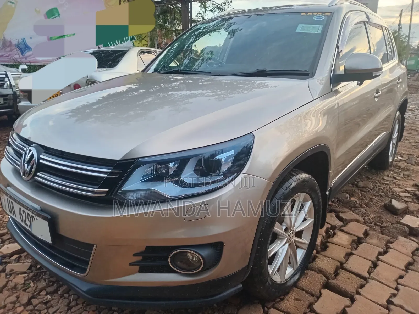 Volkswagen Tiguan 2013 Gold