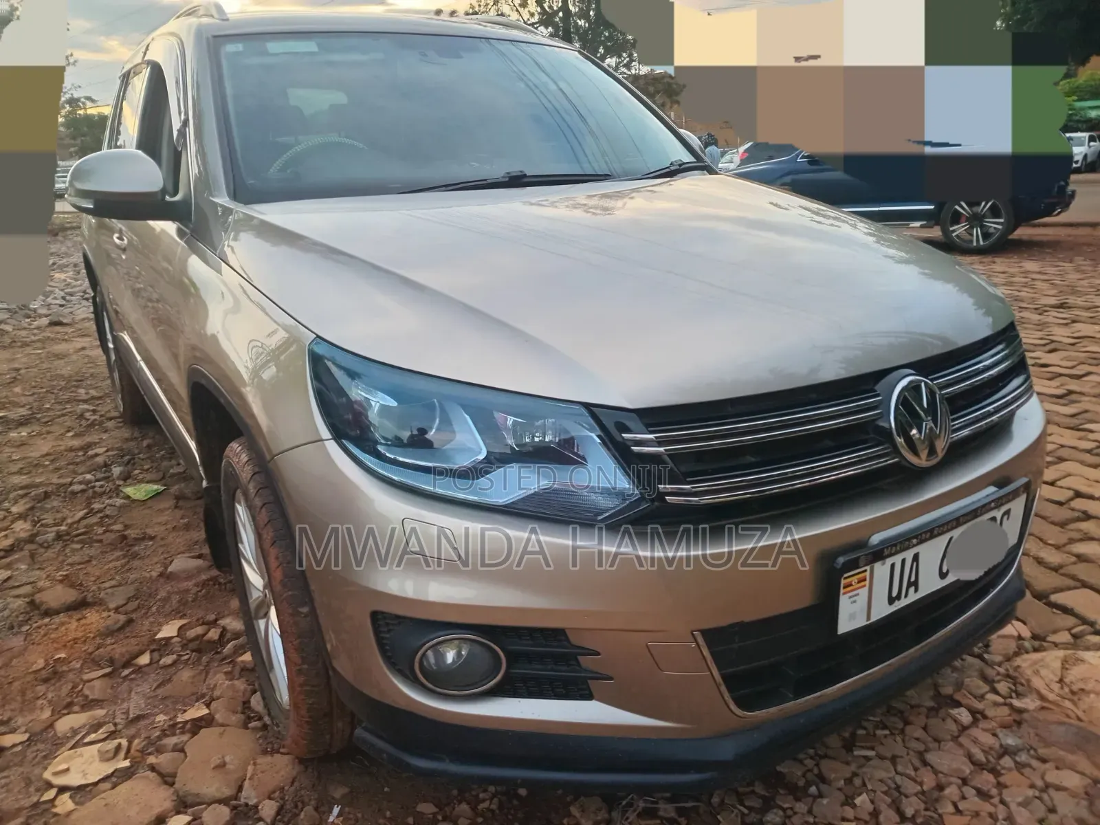 Volkswagen Tiguan 2013 Gold