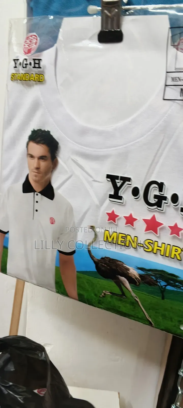 Business Cotton Shirts