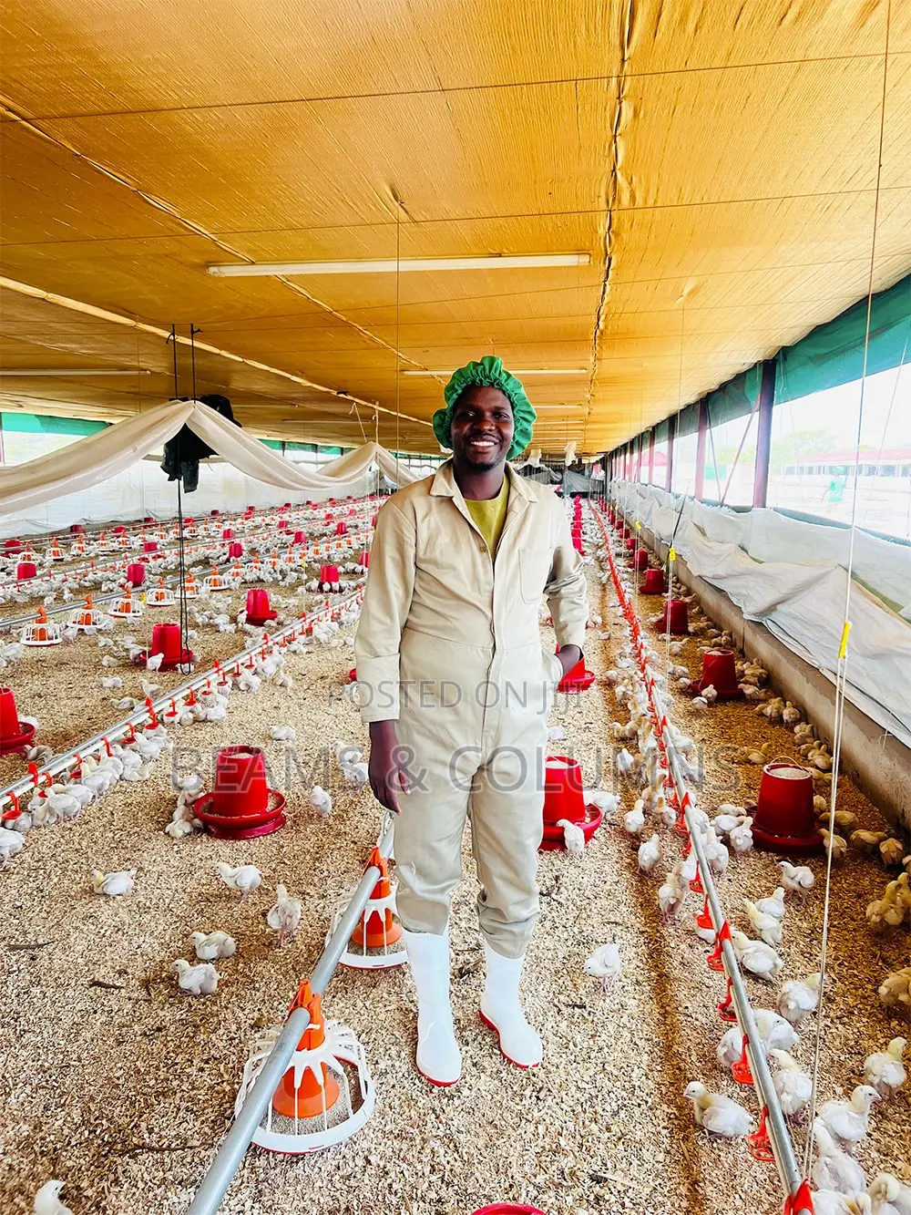 Commercial Poultry House Steel Construction