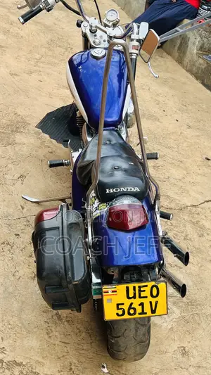 Honda Steed 2010 Purple