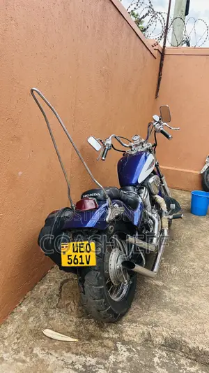 Honda Steed 2010 Purple