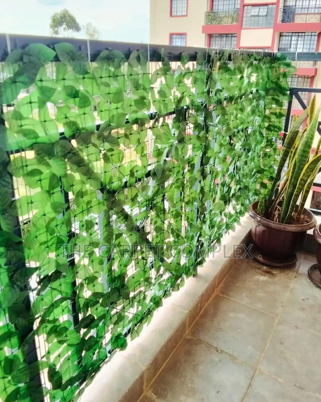 Wall Plants Each 3meters Long