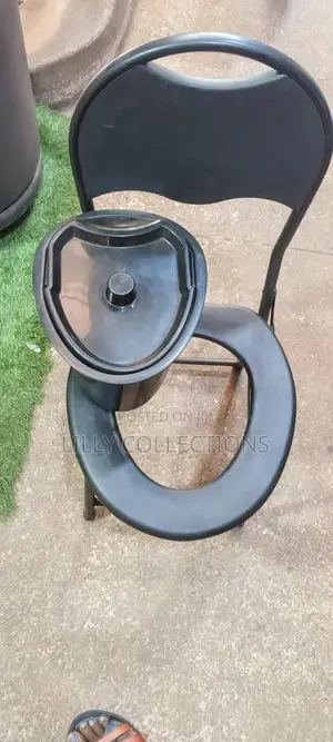 Three in One Multifunctional Potty