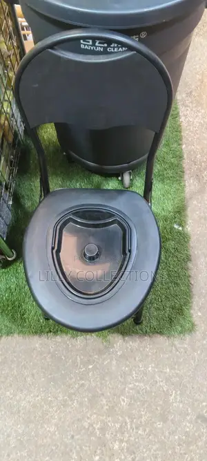 Three in One Multifunctional Potty
