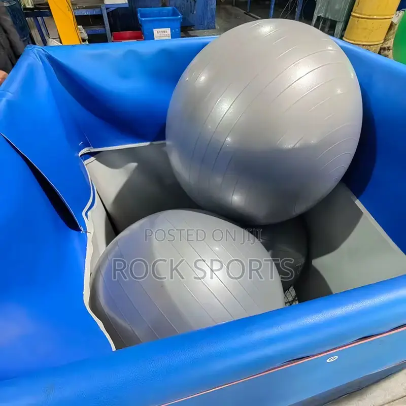Gym Yoga Ball Pumped