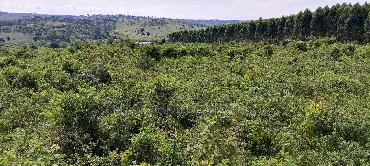 300 Acres of Land Kakungube