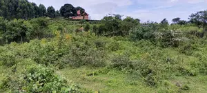 300 Acres of Land Kakungube