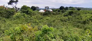 300 Acres of Land Kakungube