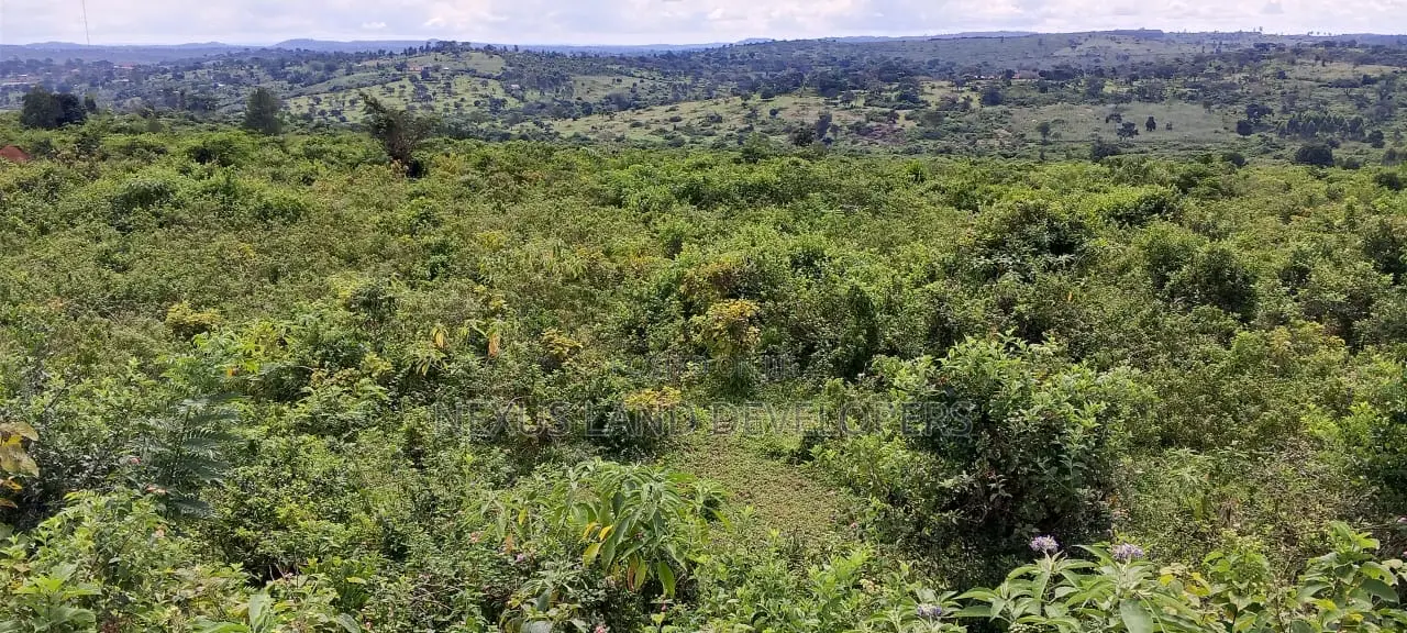 300 Acres of Land Kakungube