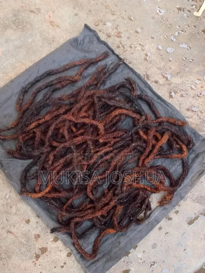 Natural Dreads