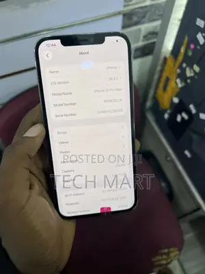 Apple iPhone 12 Pro Max 128 GB Gray