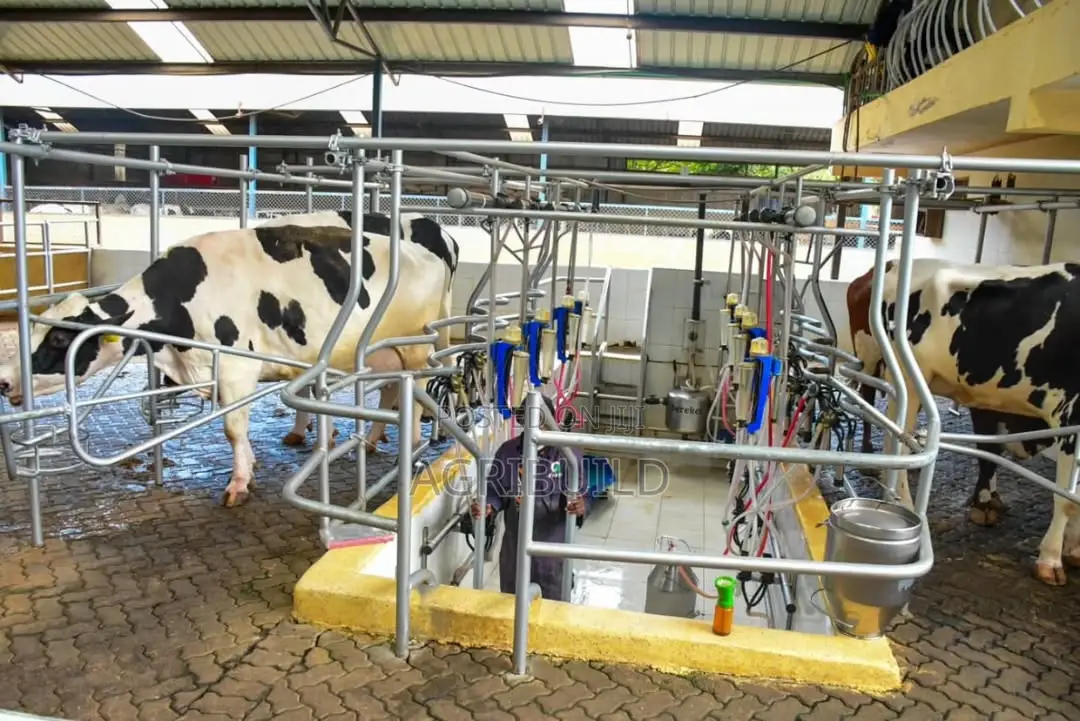 Commercial Dairy Structure Design | Build Services