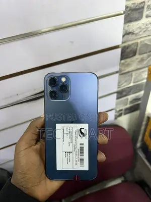 Apple iPhone 12 Pro Max 256 GB Blue