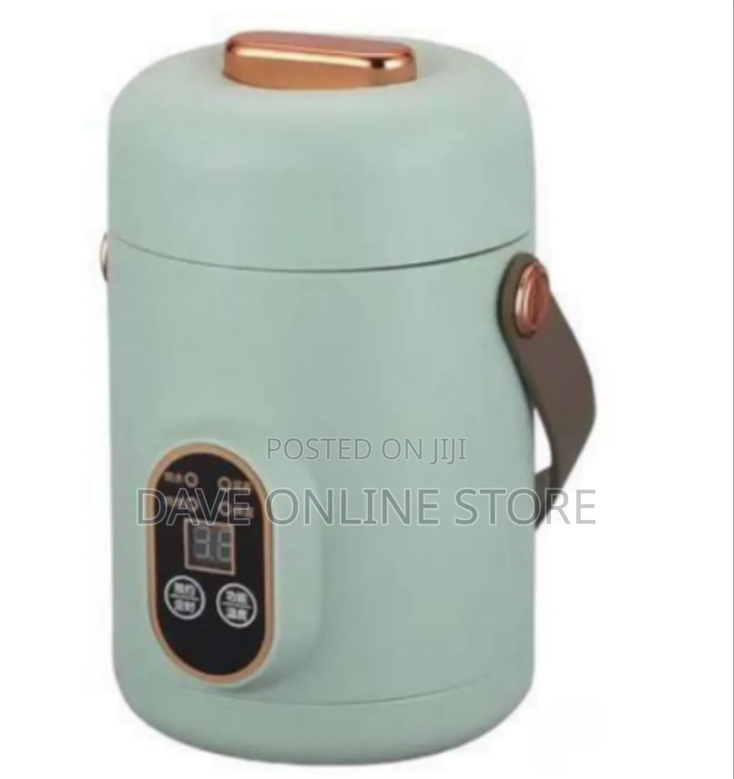 Portable Mini Electric Cooker