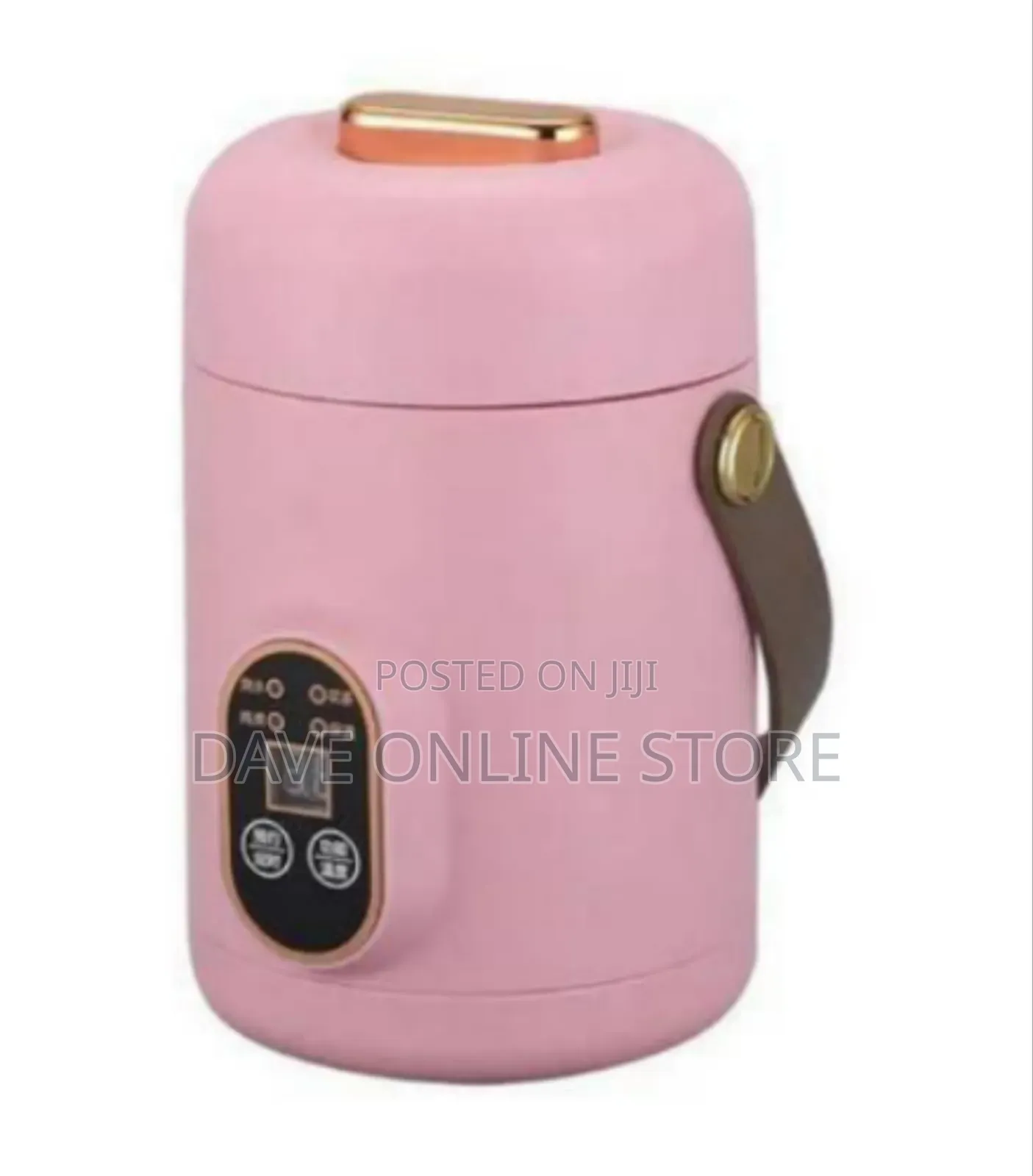 Portable Mini Electric Cooker