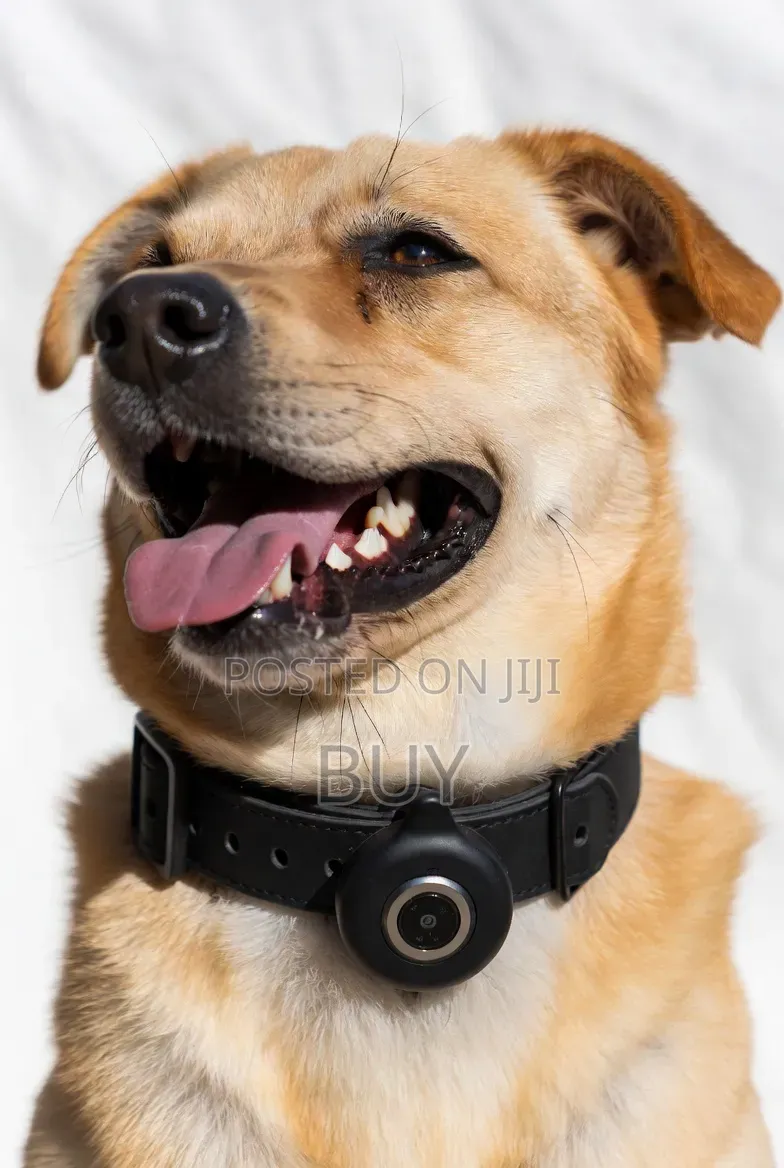 Bluetooth Pet Gps Tracker