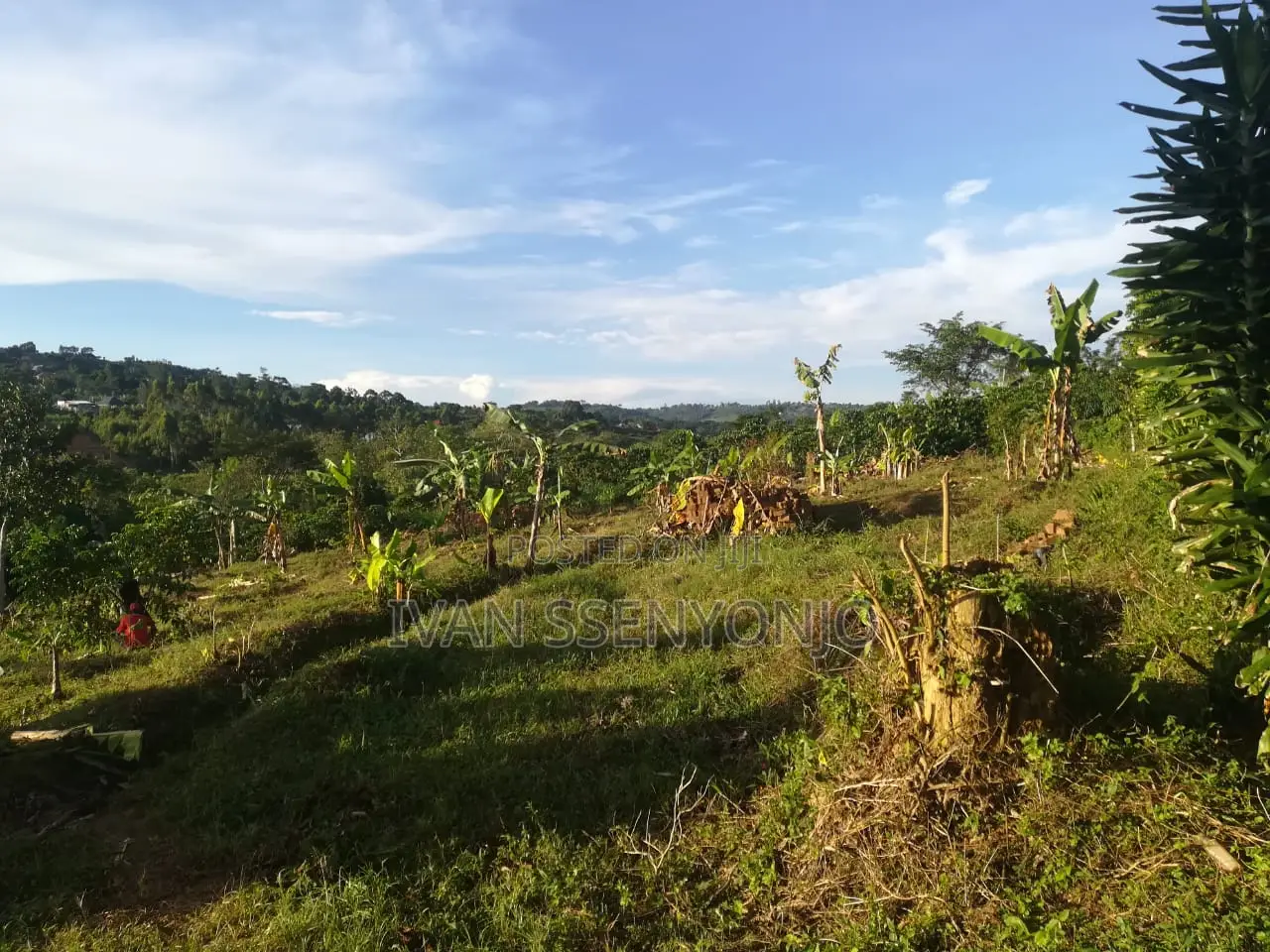 Land for Sale in Masaka