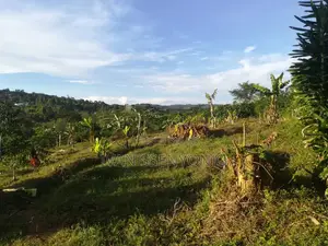 Land for Sale in Masaka