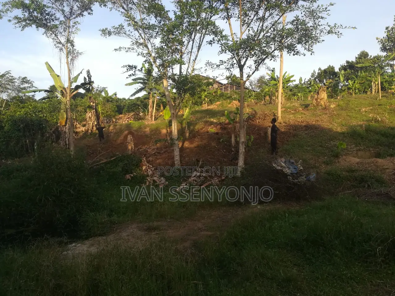 Land for Sale in Masaka