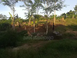 Land for Sale in Masaka