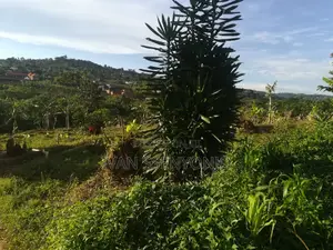Land for Sale in Masaka