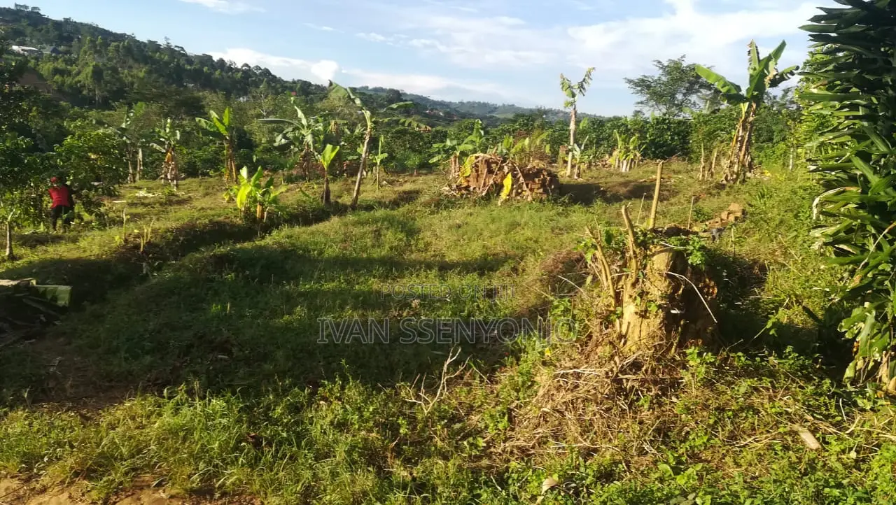 Land for Sale in Masaka