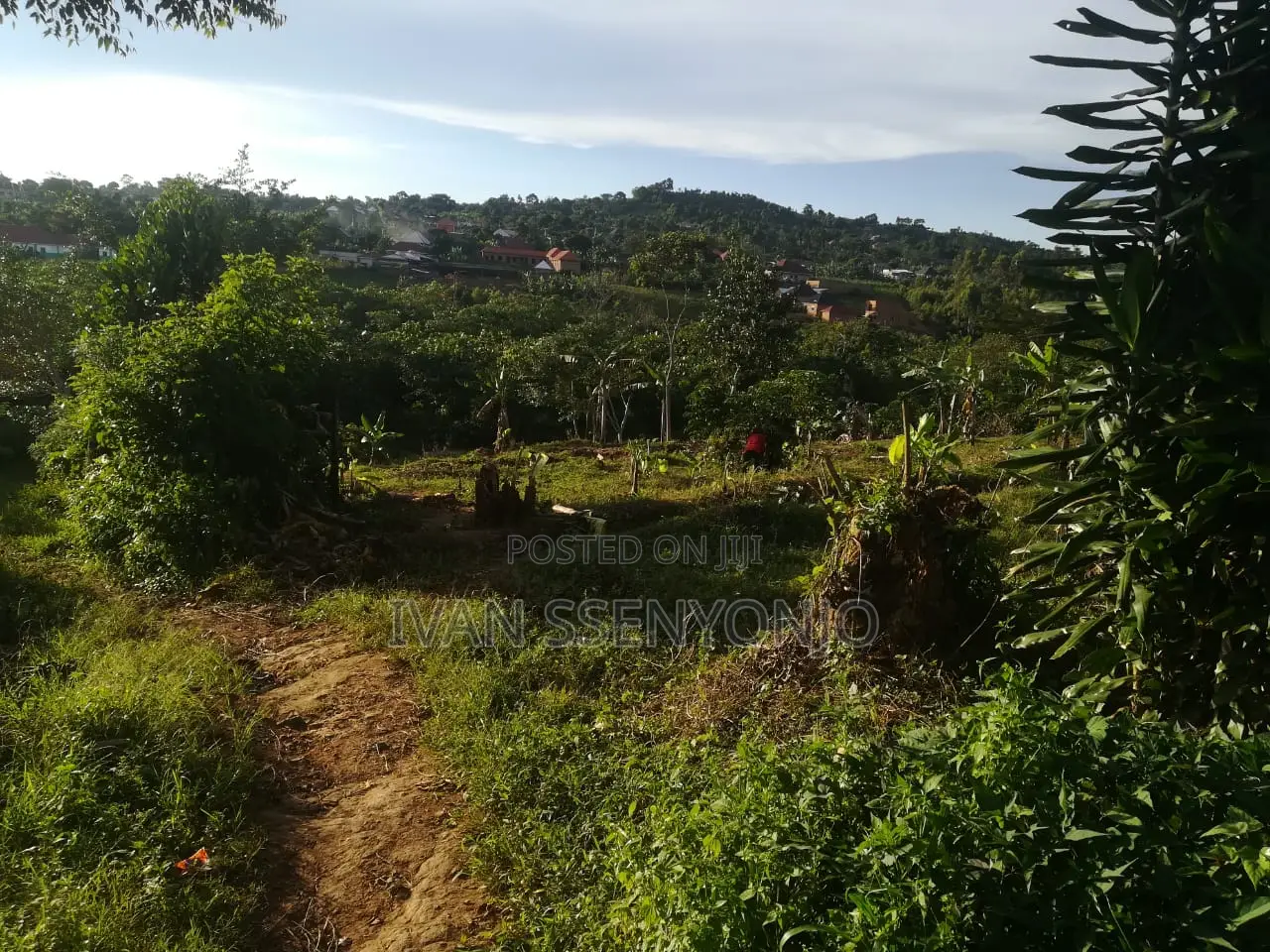Land for Sale in Masaka