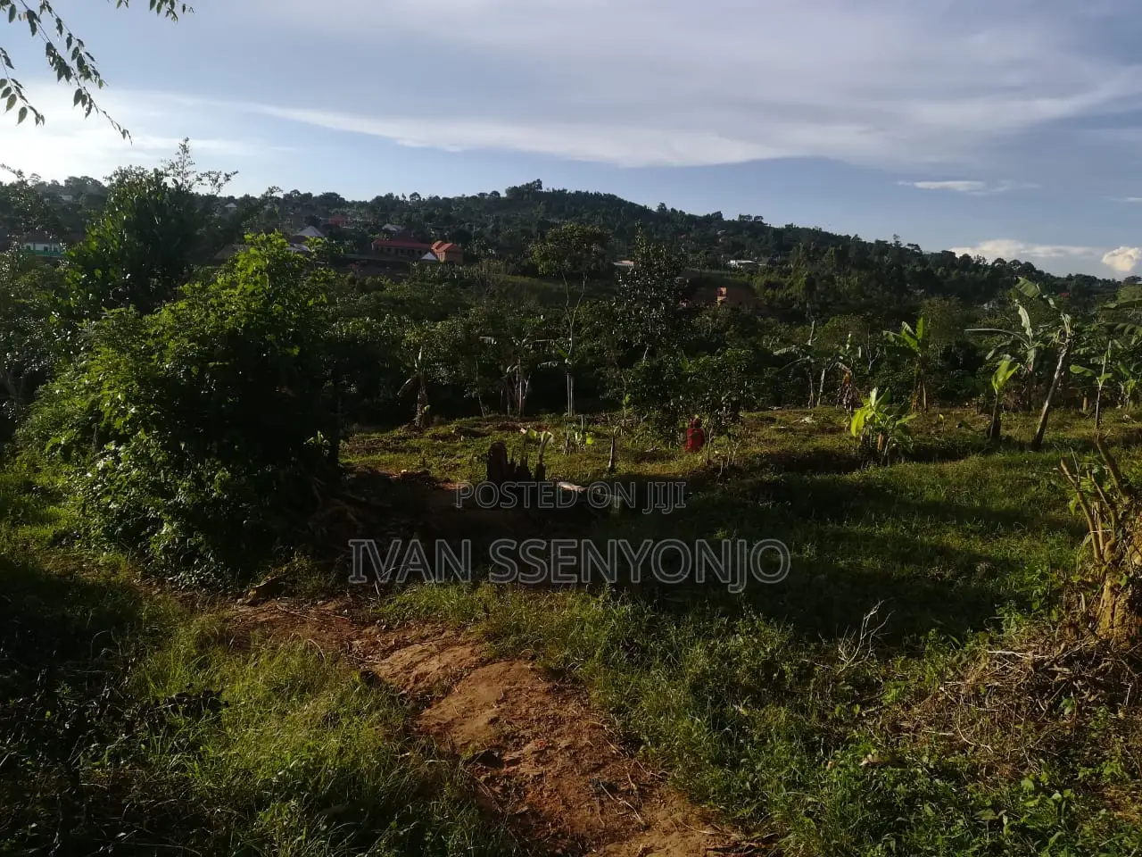 Land for Sale in Masaka