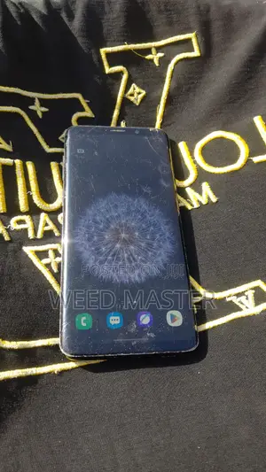 Samsung Galaxy S9 Plus 64 GB Purple