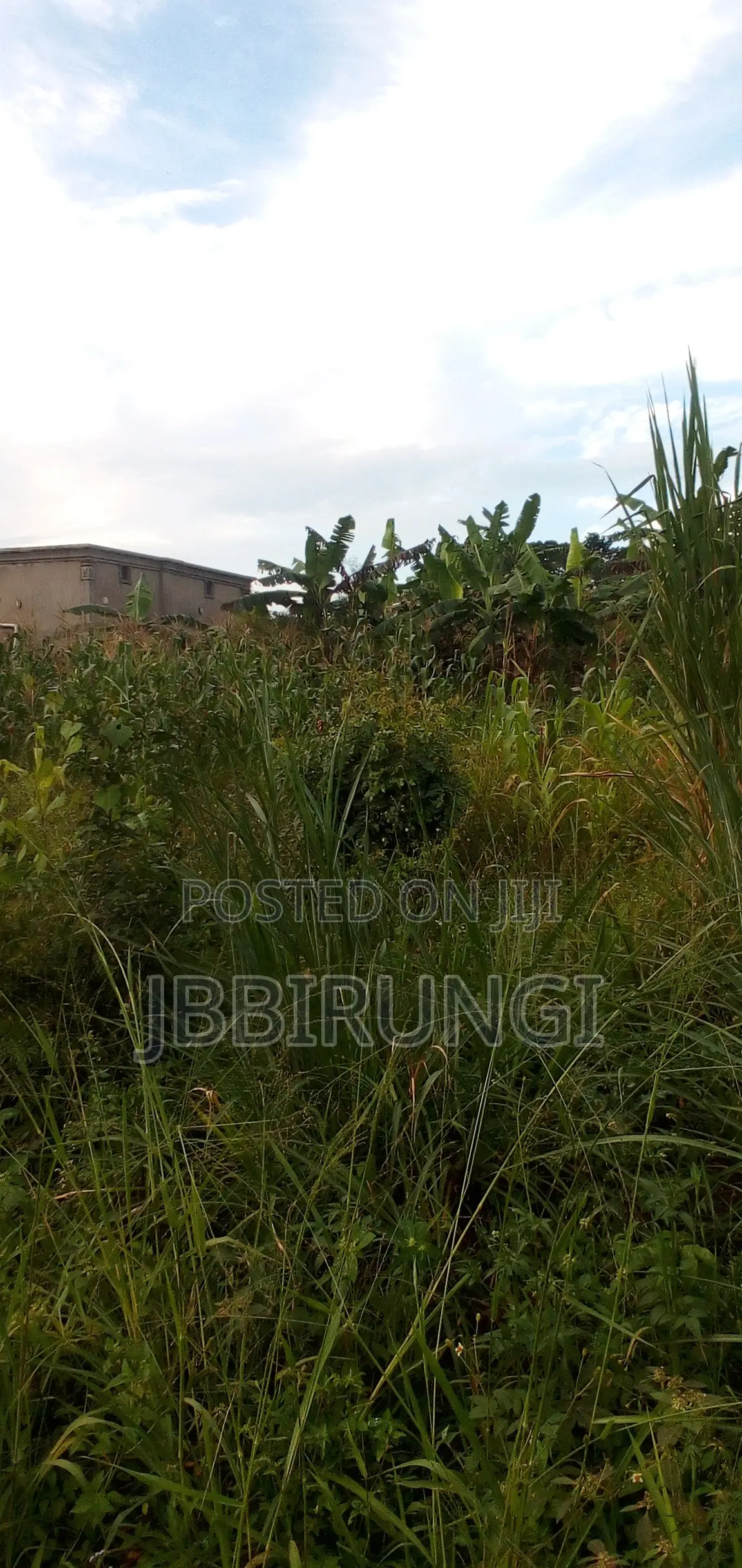 Plot for Sale in Nampunge, Hoima Road.