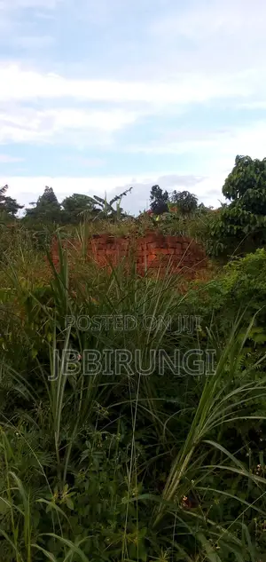 Plot for Sale in Nampunge, Hoima Road.