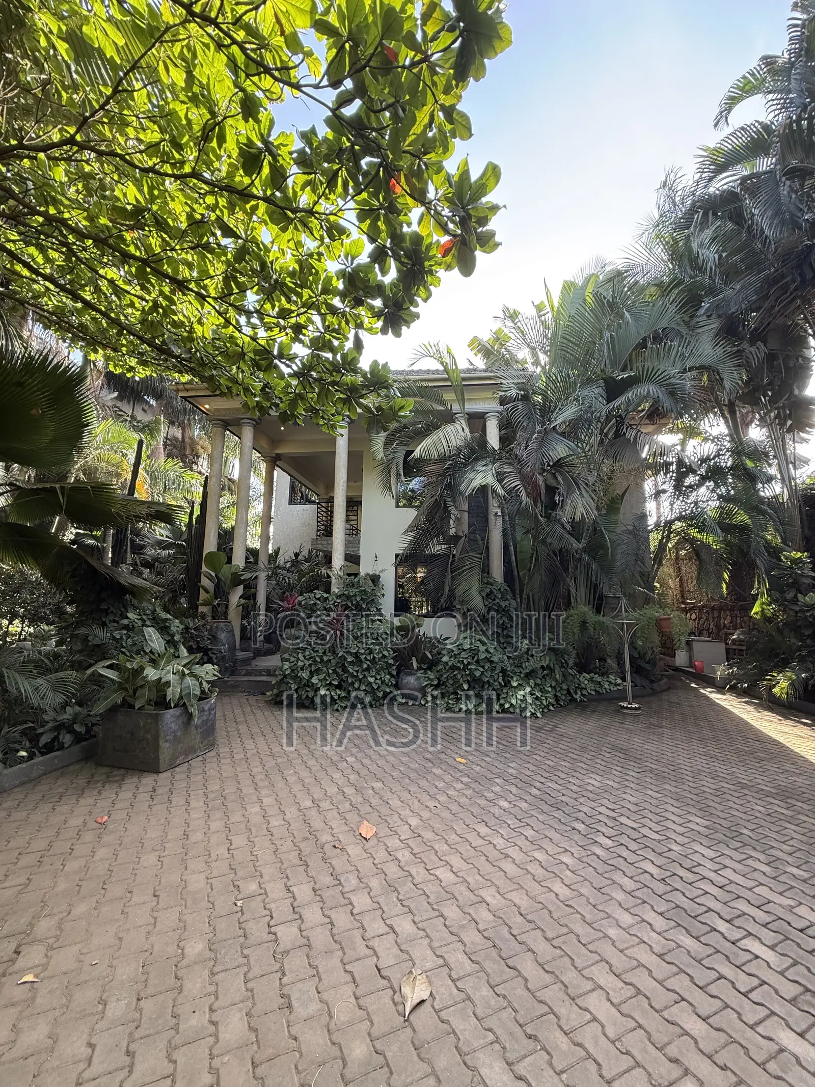 6bdrm House in Kansanga, Central Division for rent