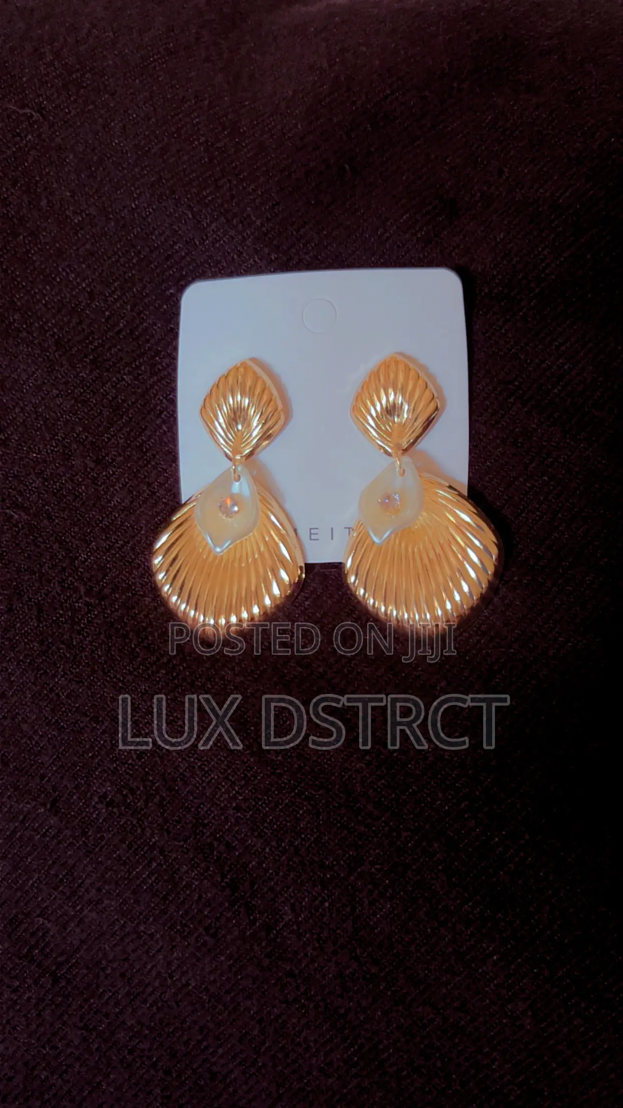Stainless Earrings