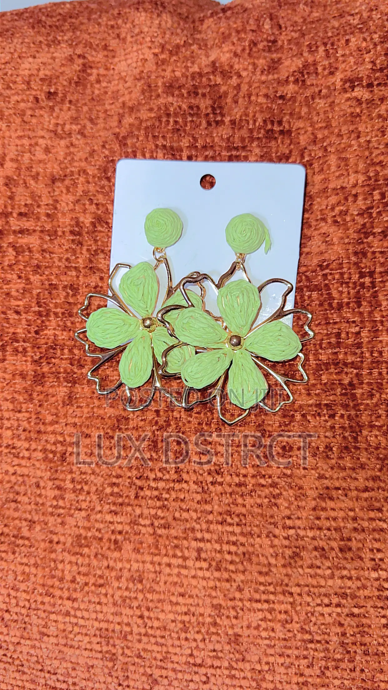 Stainless Earrings