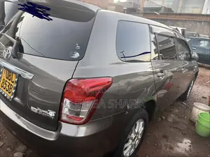 Toyota Corolla Fielder 2010 Gray