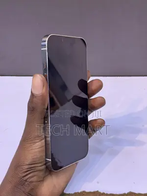 Apple iPhone 14 Pro 256 GB Silver