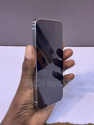 Apple iPhone 14 Pro 256 GB Silver